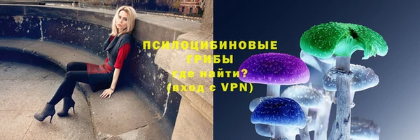 дурь Надым