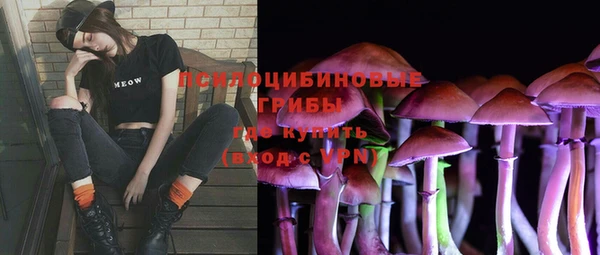 крисы Наволоки
