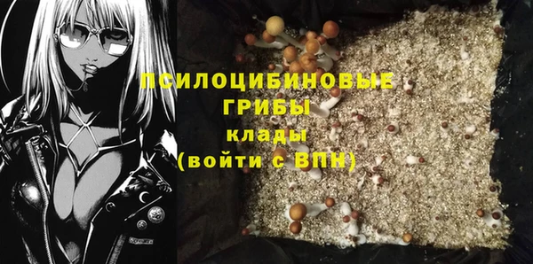 крисы Наволоки