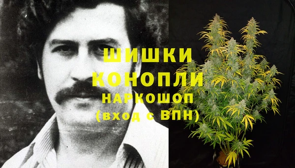 крисы Наволоки