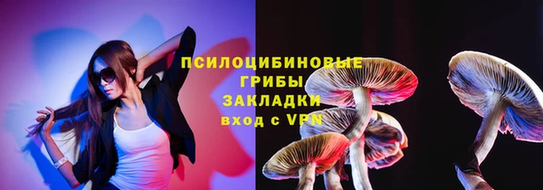 дурь Надым