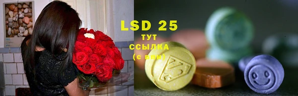 дурь Надым