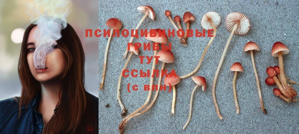 дурь Надым