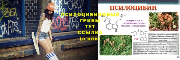 дурь Надым